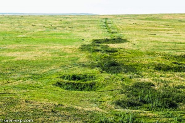 Актуальное зеркало на кракен