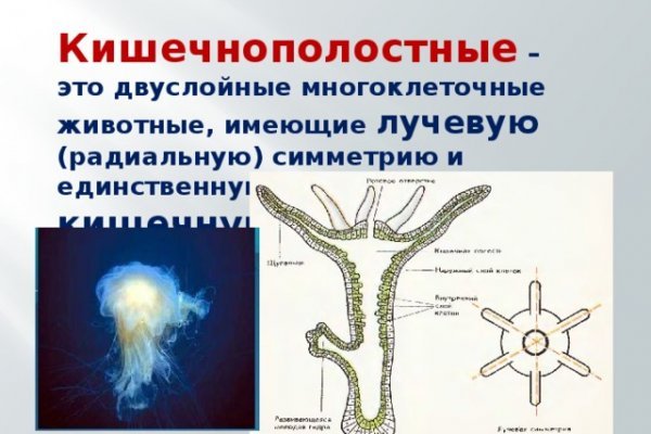 Через какой браузер заходить на кракен