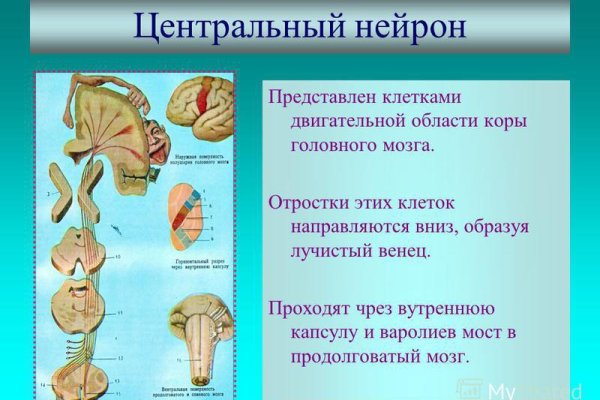 Кракен даркнет рекламы